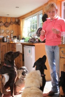 Jan feeding